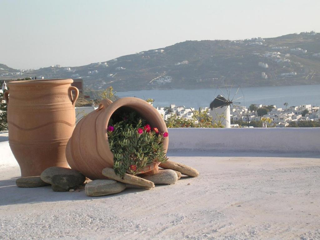 La Veranda Of Mykonos Traditional Guesthouse Mykonos Town Экстерьер фото